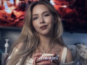 aracapell Cam 5