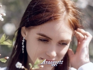 araeggett Cam 5