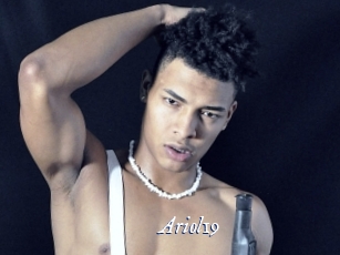 Ariol19