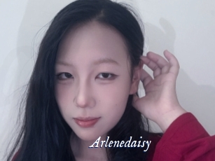 Arlenedaisy