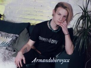 Armandohornyxx