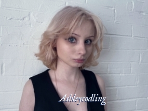 Ashleycodling