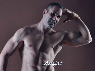 Ass4pvt
