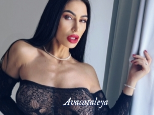 Avacataleya