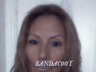 BANDACOOT