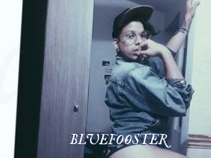 BLUEFOOSTER