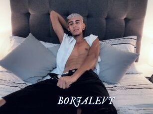 BORJALEVY