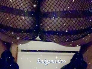 Badgemini10