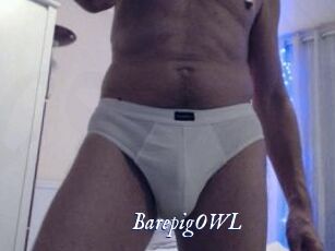 BarepigOWL