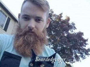Beardedginger
