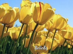 BelleB3 Cam 5