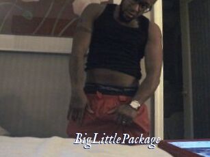 BigLittlePackage