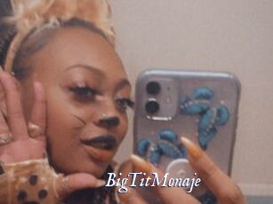 BigTitMonaje