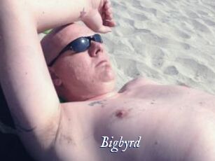 Bigbyrd