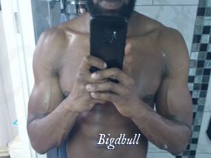 Bigdbull