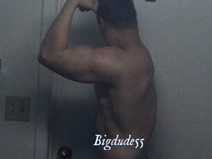 Bigdude55