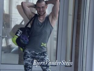 BjornVanderStein