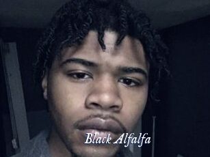 Black_Alfalfa