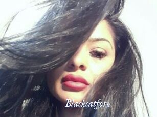 Blackcatforu