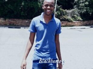Blackhorse55