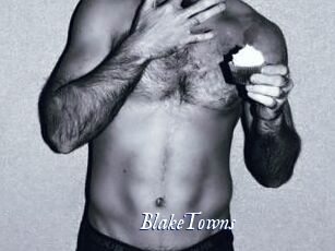 BlakeTowns