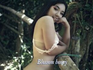 Blossom_honey