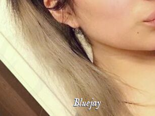Blue_jay