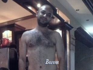 Bosom