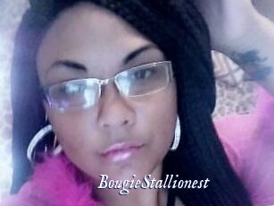 BougieStallionest Cam 5