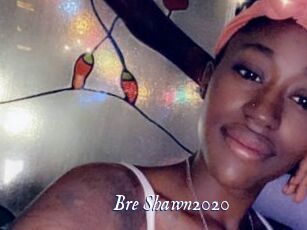 Bre_Shawn2020