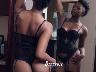 Breerose