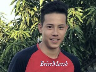 BriceMarsh