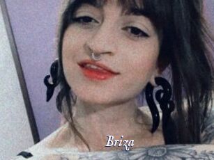 Briza