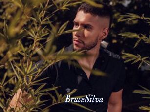 BruceSilva