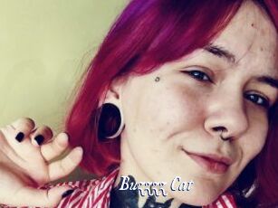 Buzzzz_Cat