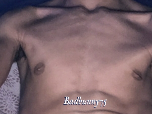 Badbunny75