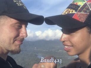 Bandb423