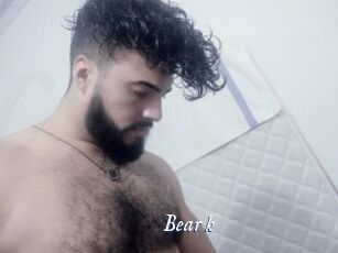 Bear_k