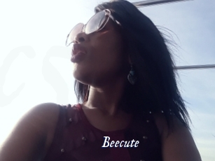 beecute Cam 5