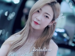 beiladlane Cam 5