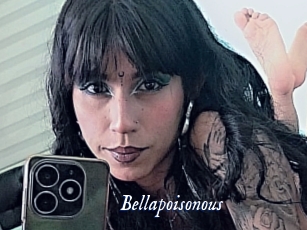bellapoisonous Cam 5