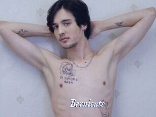 Bernicute