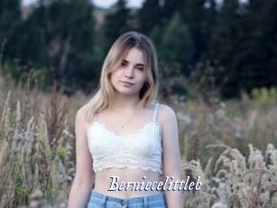 Berniecelittleb