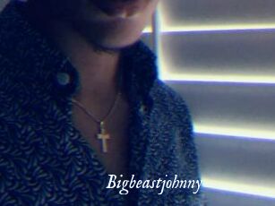bigbeastjohnny Cam 5