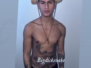 bigdicksnake Cam 5
