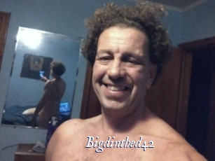 Bigdinthed42