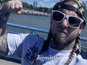 bigmikesfit Cam 5