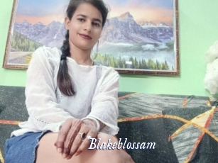 blakeblossam Cam 5