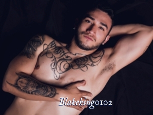 Blakeking0102