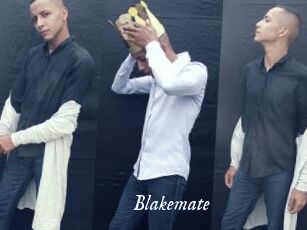 Blakemate